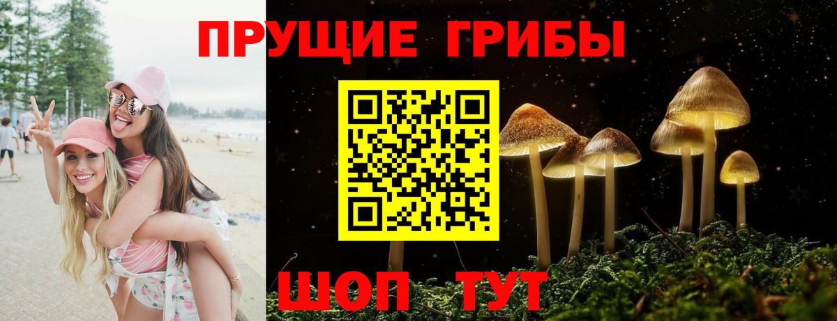 Галлюциногенные грибы Psilocybine cubensis Жигулёвск
