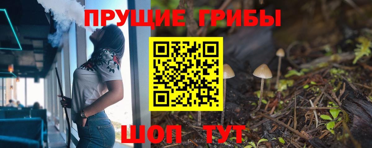 Псилоцибиновые грибы Cubensis  Вход с VPN  Жигулёвск 