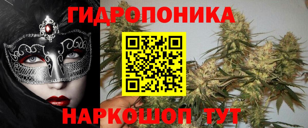 Жигулёвск  Каннабис Amnesia  Вход с VPN  Марихуана планчик 